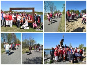 Dzień Polonii i Polaków za Granicą, Konstytucja 3 Maja - Majowy nordic walking